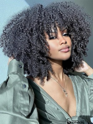 Wigs for Black Women Kinky Curly Hair Wig